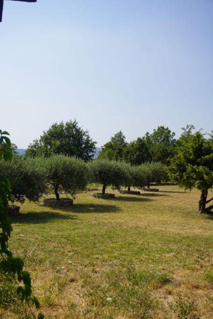 Chambre d'hôtes – Image 5